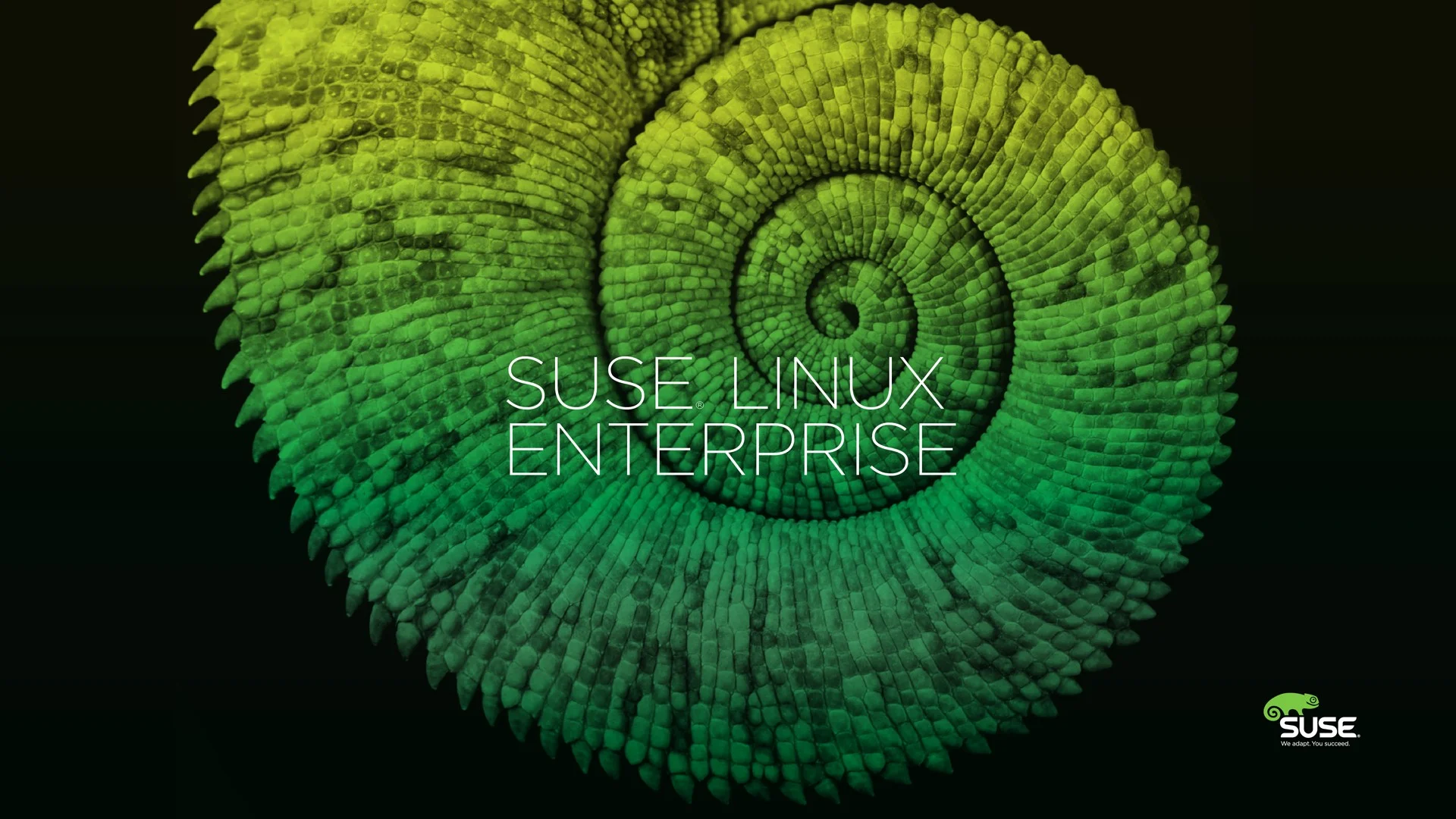 3 способа установить программы в OpenSUSE: от новичка до профи