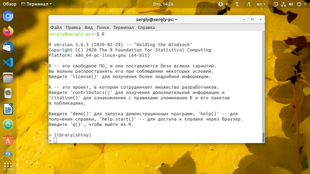 R в Ubuntu: Полная инструкция по установке и настройке для работы с данными