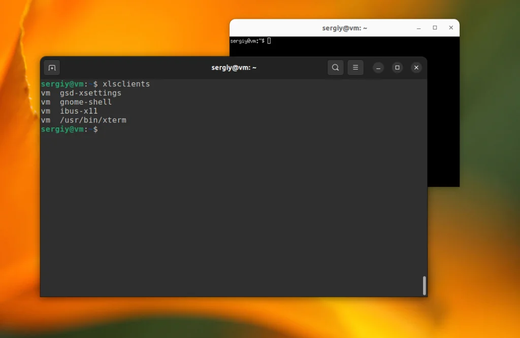 Wayland или X11: Как быстро определить, что работает в вашем Linux