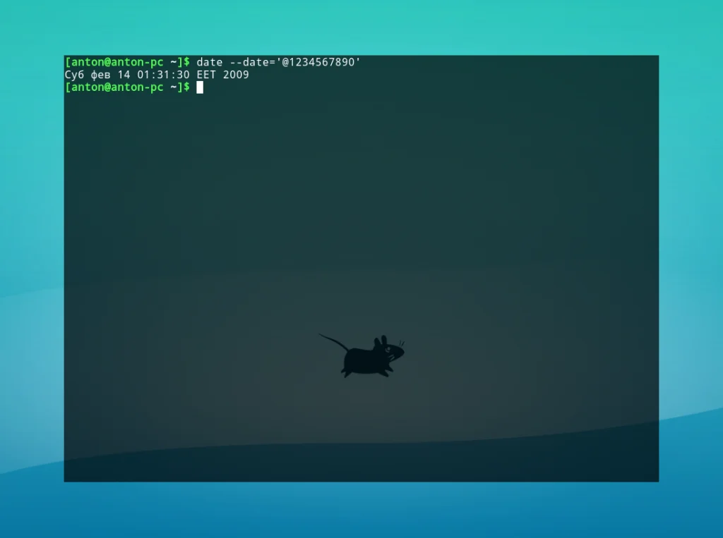 Тайм-менеджмент в терминале: Как команда date в Linux делает больше, чем вы думаете
