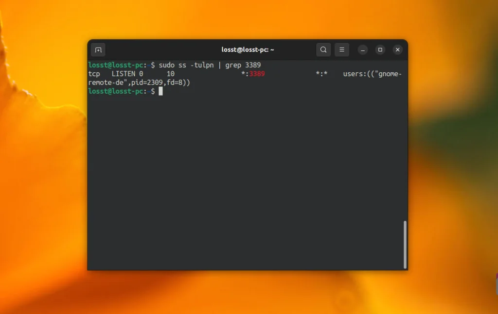 Удаленный доступ к Ubuntu 22.04: Полное руководство по настройке рабочего стола из любой точки мира