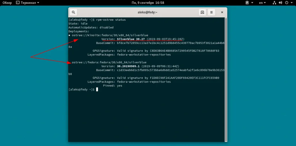 Fedora Silverblue: Секрет стабильной Linux, который перевернет ваше представление о системе