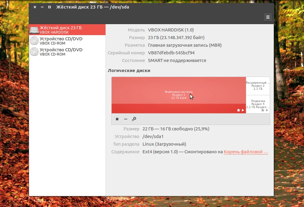 Где найти диски в Linux: 5 способов посмотреть все подключенные накопители