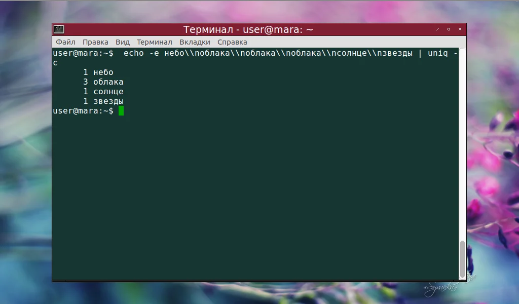 Uniq в Linux: Как легко найти и убрать дубликаты в тексте