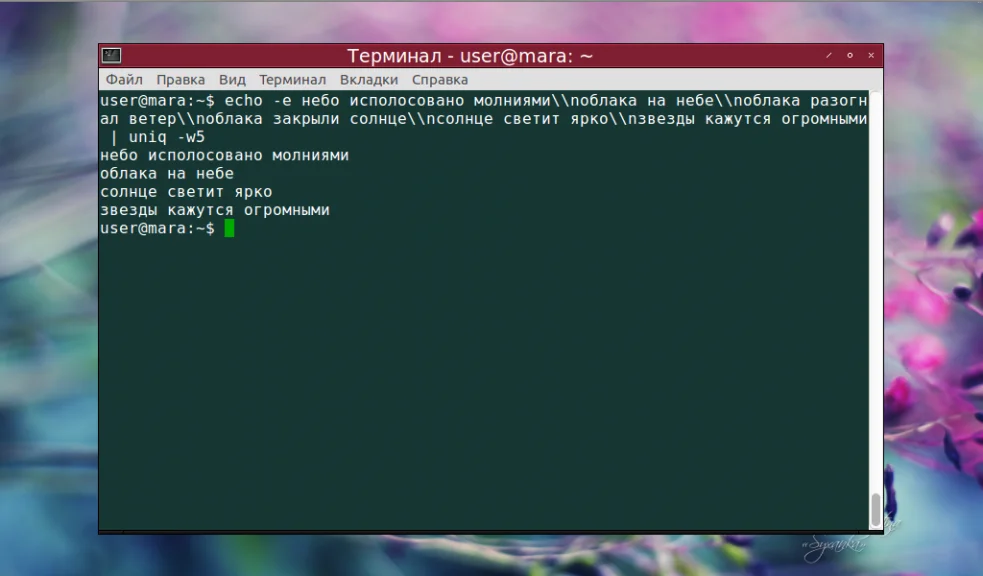 Uniq в Linux: Как легко найти и убрать дубликаты в тексте