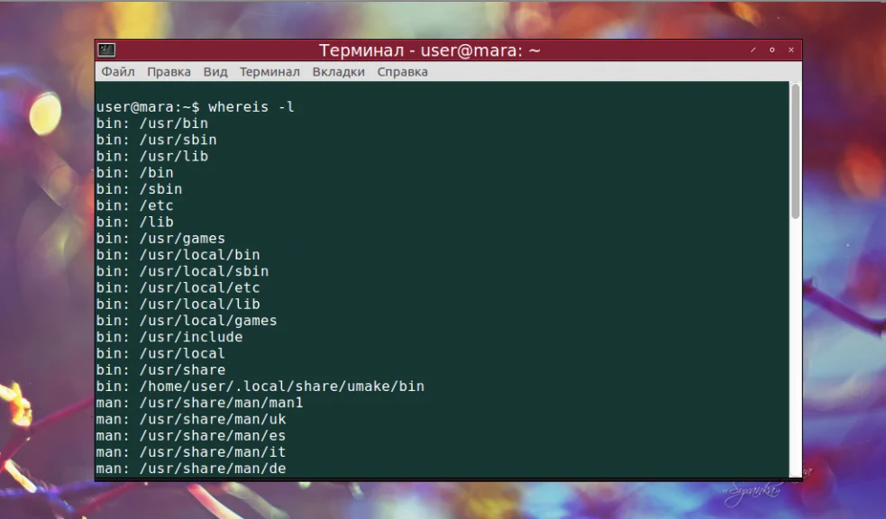Whereis в Linux: Как быстро найти любой файл или команду в системе