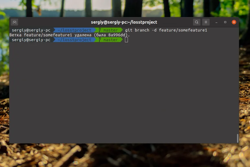 Чистим репозиторий: как правильно удалить ветку в Git