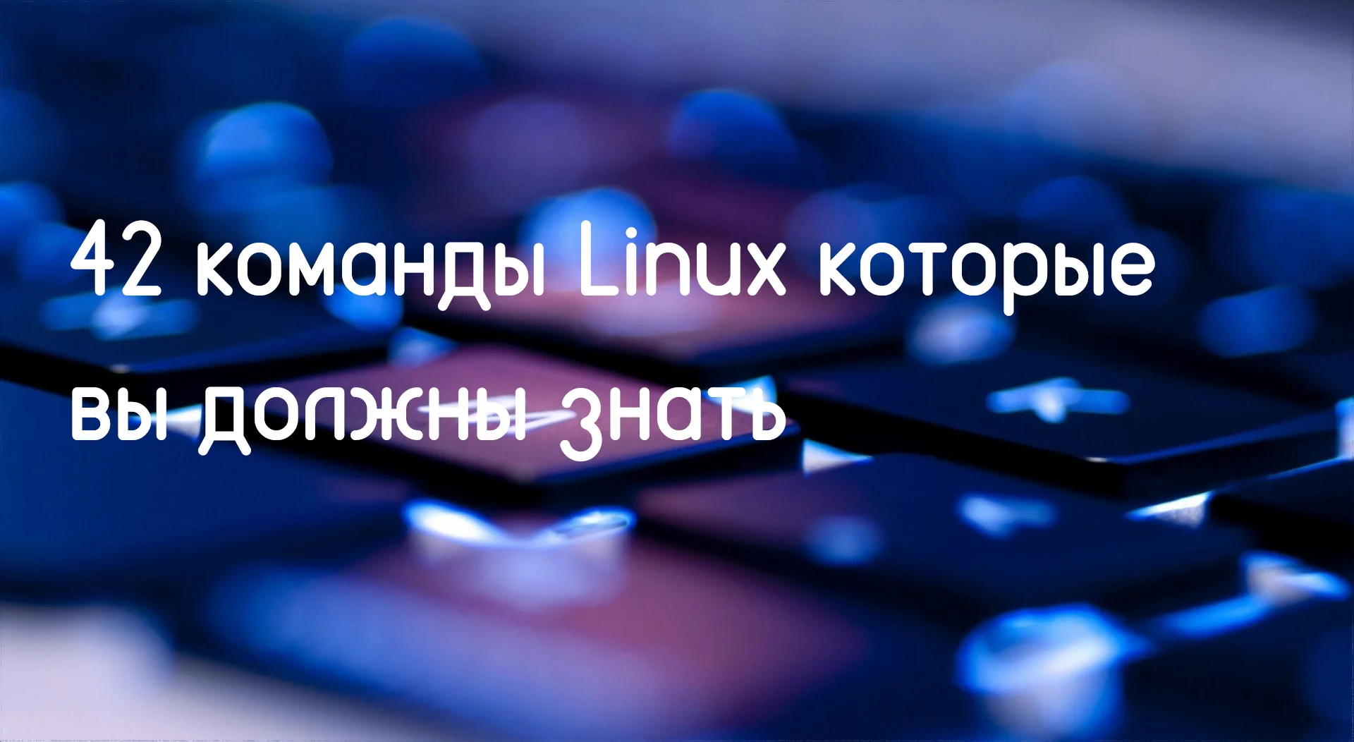 42 команды Linux, без которых не обойтись: от новичка до профи