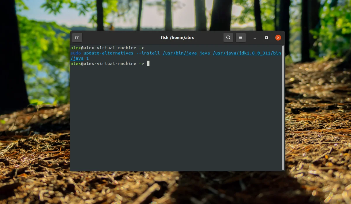 Java в Linux: Полное руководство по установке JDK и JRE для Ubuntu, CentOS и Arch