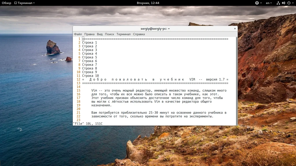 Vim: Секретные команды, которые превратят вас в гуру текстового редактора