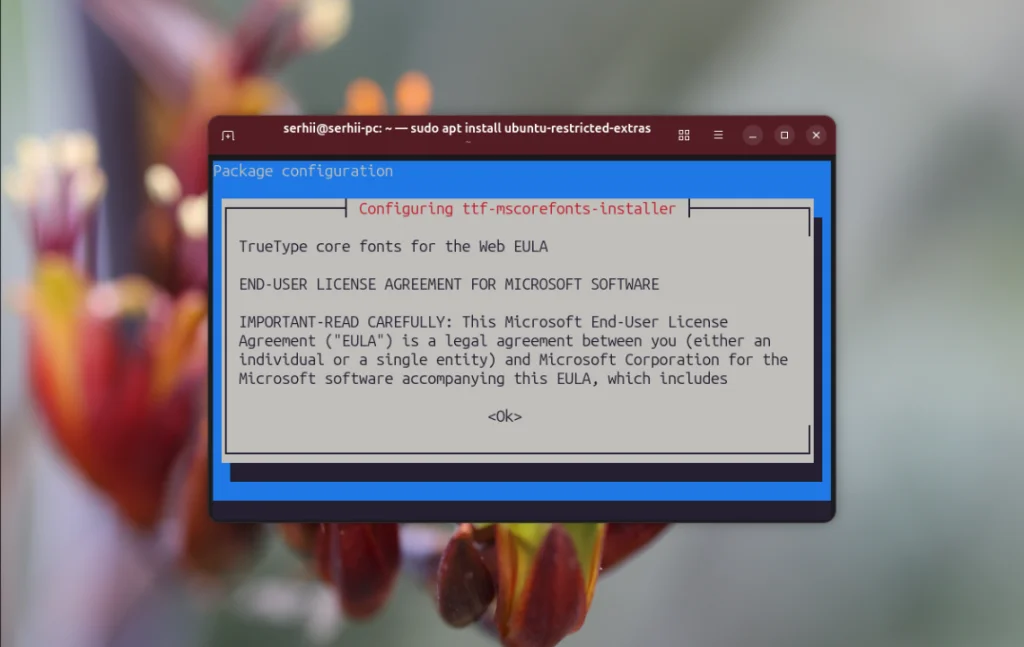 Ubuntu 25.10: 22 шага к идеальной системе после установки